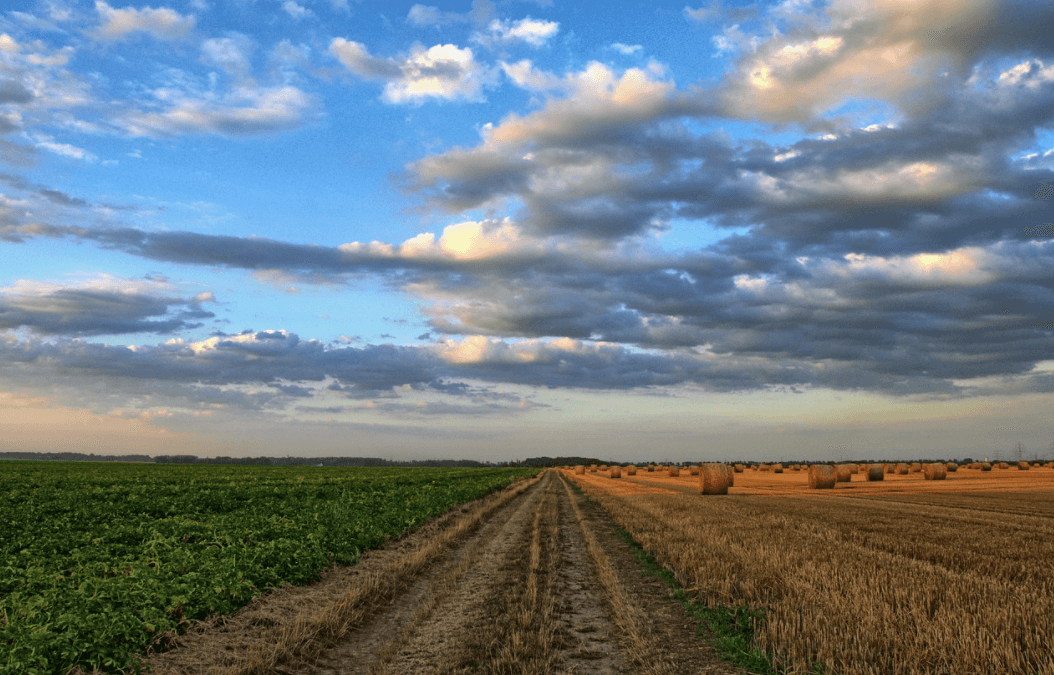 American Agricultural System Relies on Labor from Food-Insecure Migrant Farm Workers