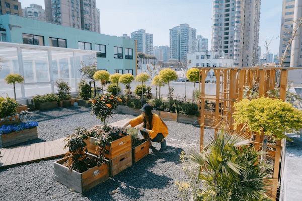 Person knelt over a garden bed in an urban area.